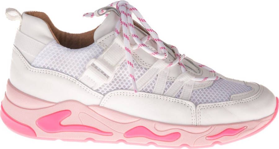 Dwrs California Sneakers Roze Dames