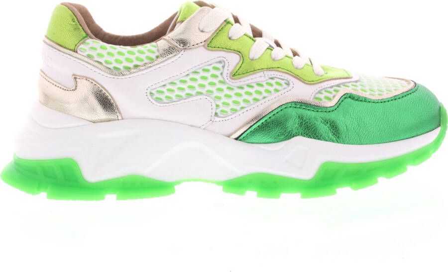 Dwrs Dames Sneakers Chester White green Groen