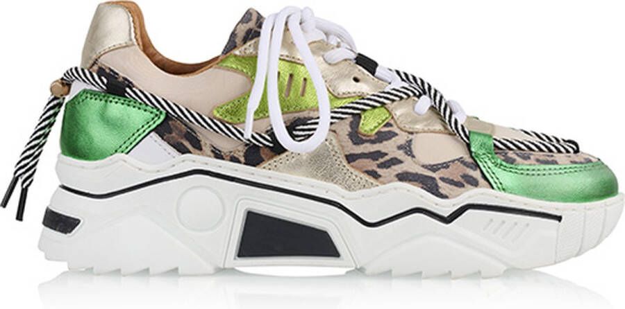 Dwrs JUPITER leopard Sand Green Dames Sneaker J5554