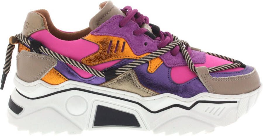 Dwrs Dames Sneakers Jupiter purple Fuchsia