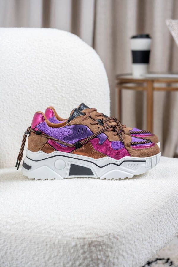 Dwrs JUPITER terry Sneakers Purple Brown