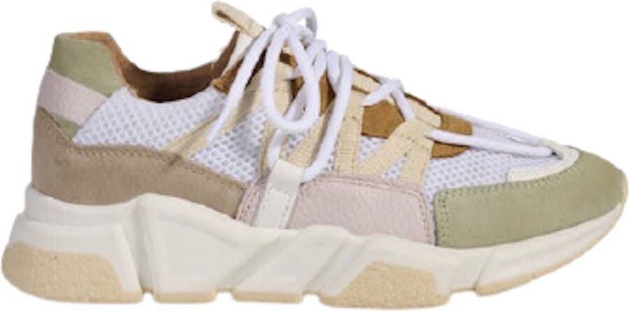 DWRS LABEL Dames Los Angeles Sneakers Multicolor Schoenen