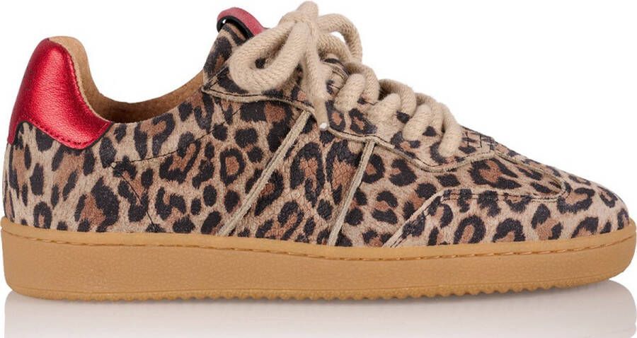 Dwrs Dames Sneakers Poona Leopard red Beige