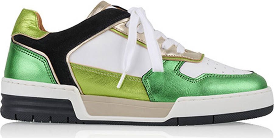 Dwrs RUGBY metallic Sneakers White Green