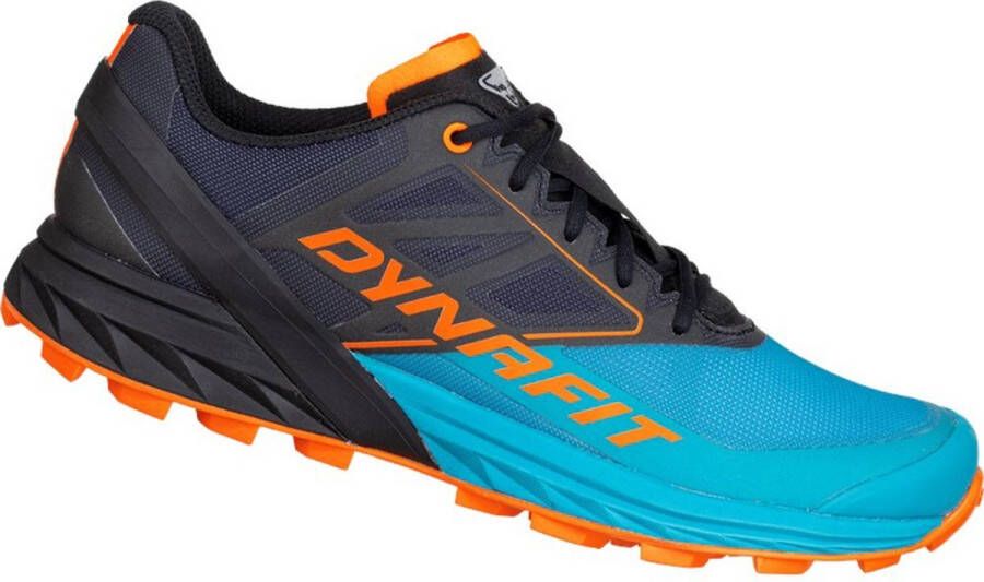 Dynafit Alpine Trail Running Schoenen Blauw 1 2 Vrouw