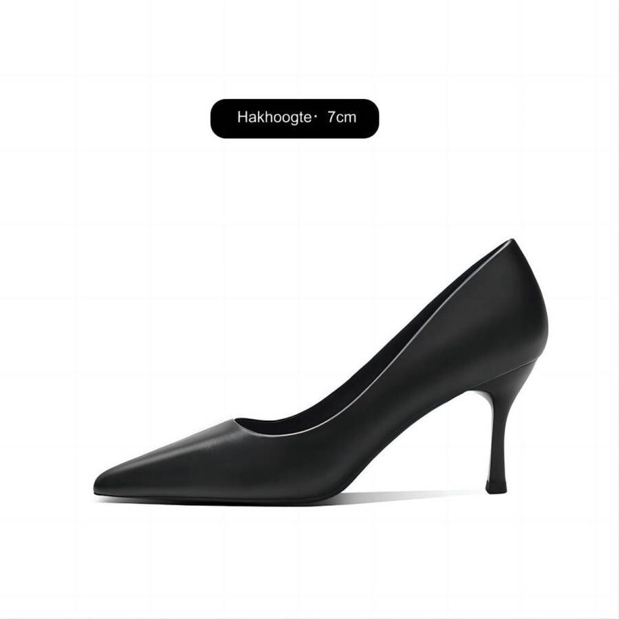 Damesavondschoenen elegante pumps met hoge hakken