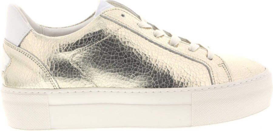 Floris van Floris van Bommel van Floris van Bommel Sneakers Dames Lage sneakers Damesschoenen Leer SFW-10079 glit Lila combi