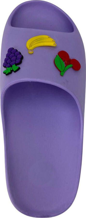 Zenne Slipper Fruitige EVA-Slippers Heren- s Slipper Antibacterieel Slipper Anatomical Slipper LILA