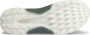 ECCO Golfschoenen M Golf Biom H4 BOA Magnet Frosty Green - Thumbnail 1