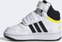 Adidas Performance Hoops Mid Schoenen - Thumbnail 19