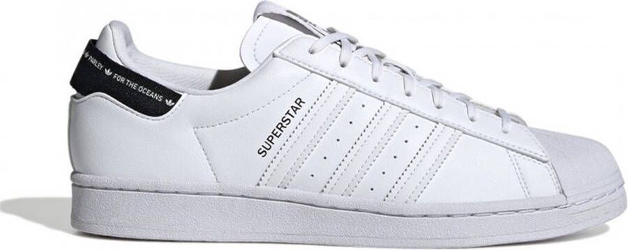 Adidas Originals Buty sneakersy Superstar Gy0977 Wit - Foto 9