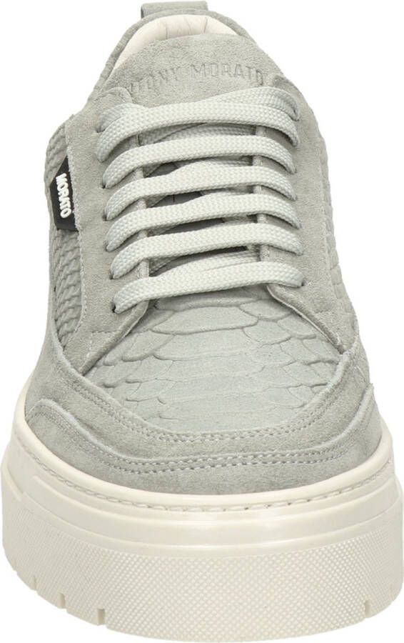 Antony Morato Flint sneakers python Grijs Suede Lage sneakers Heren - Foto 9