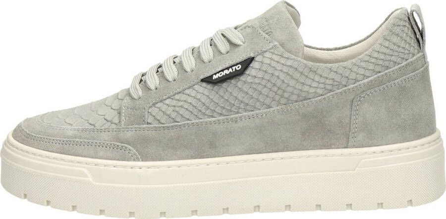 Antony Morato Flint sneakers python Grijs Suede Lage sneakers Heren - Foto 6