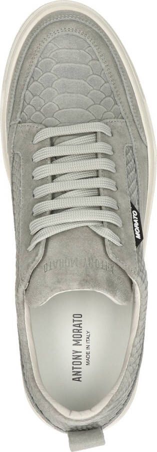 Antony Morato Flint sneakers python Grijs Suede Lage sneakers Heren - Foto 8