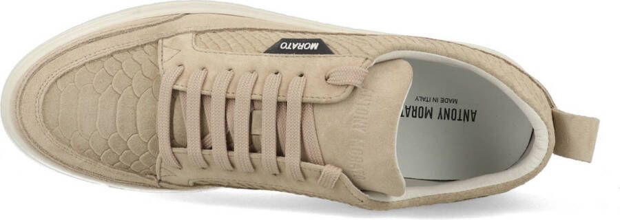 Antony Morato Heren Sneakers Mmfw01558 Sneaker Biege Beige