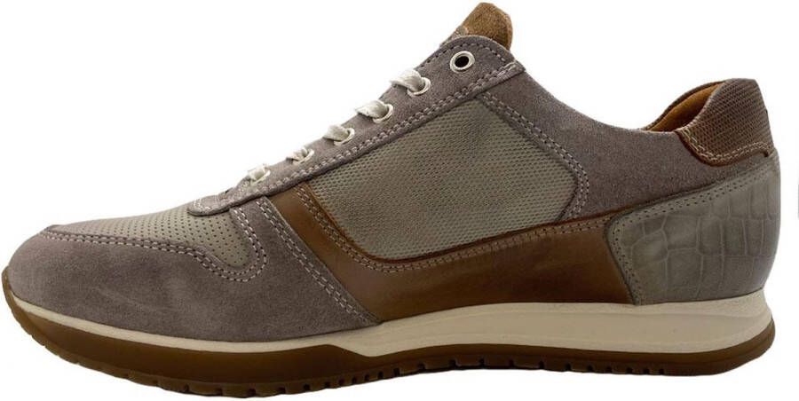 Australian Heren Sneakers Browning Taupe