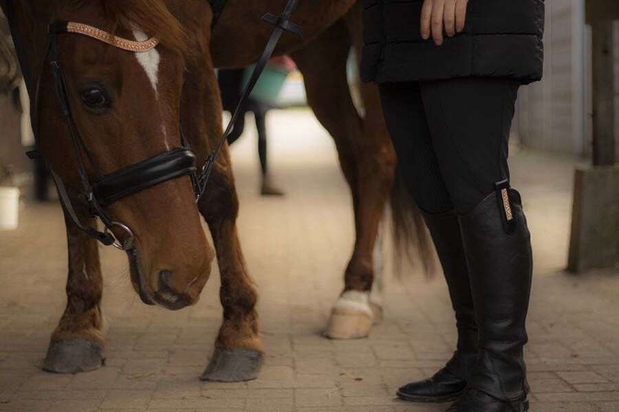 Bling Your Horse boot clips Rose Gold