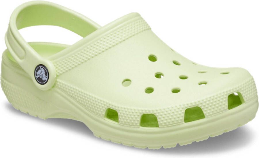 Crocs Clogs Unisex