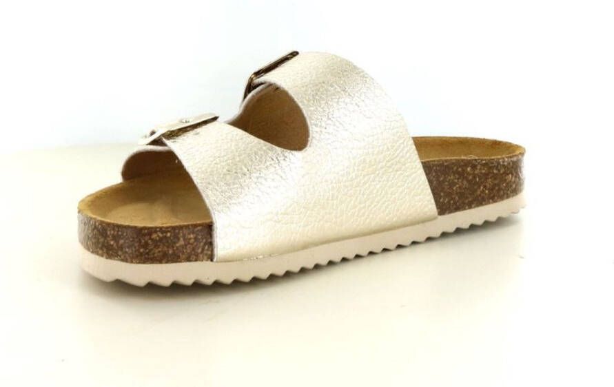 Develap Gouden slipper