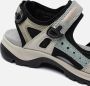 ECCO OFFROAD–Sandalen–Vrouwen–Bruin–36 - Thumbnail 77