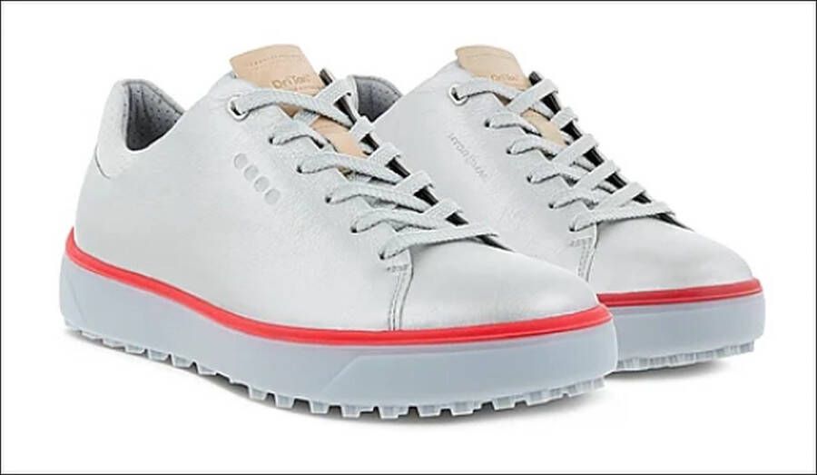 Ecco 2025 schoenen silver