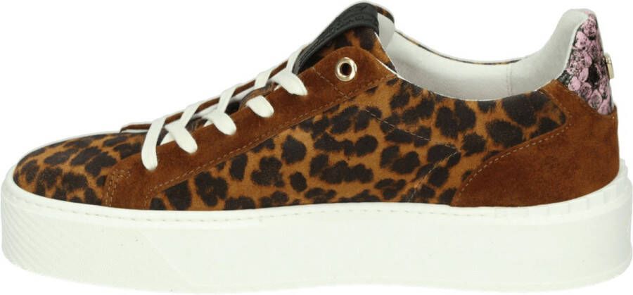 Floris van Bommel SFW-10106-23-01 Volwassenen Lage sneakersDames sneakers Bruin - Foto 13