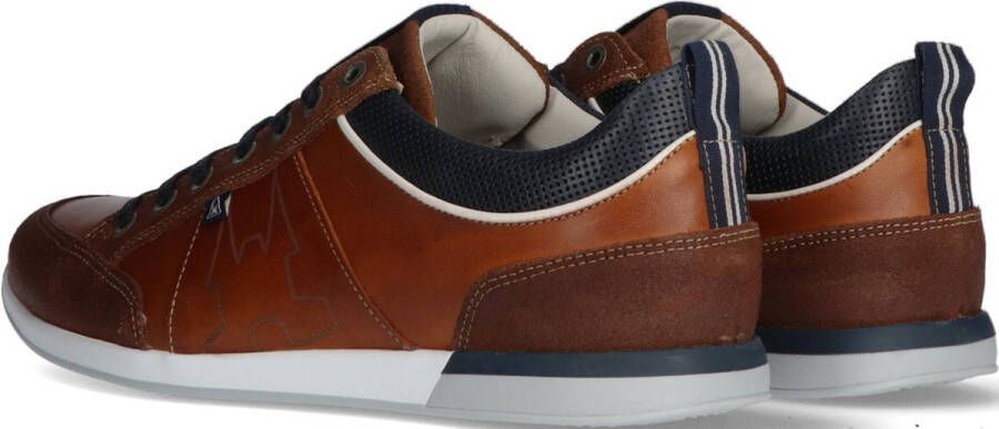 Gaastra Bayline sneakers cognac