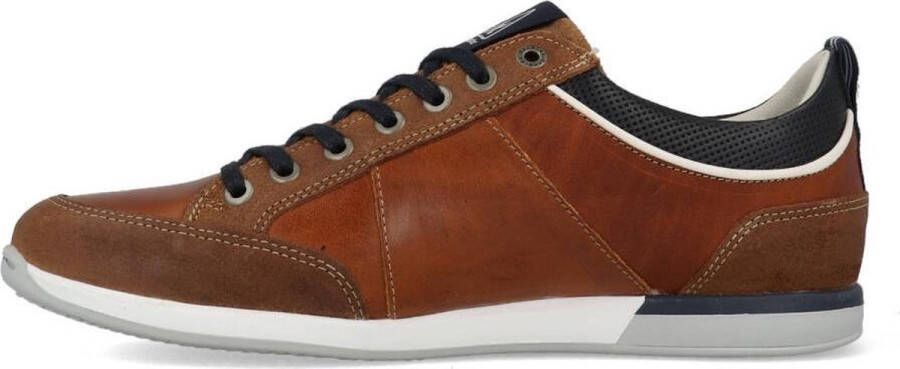 Gaastra Bayline sneakers cognac