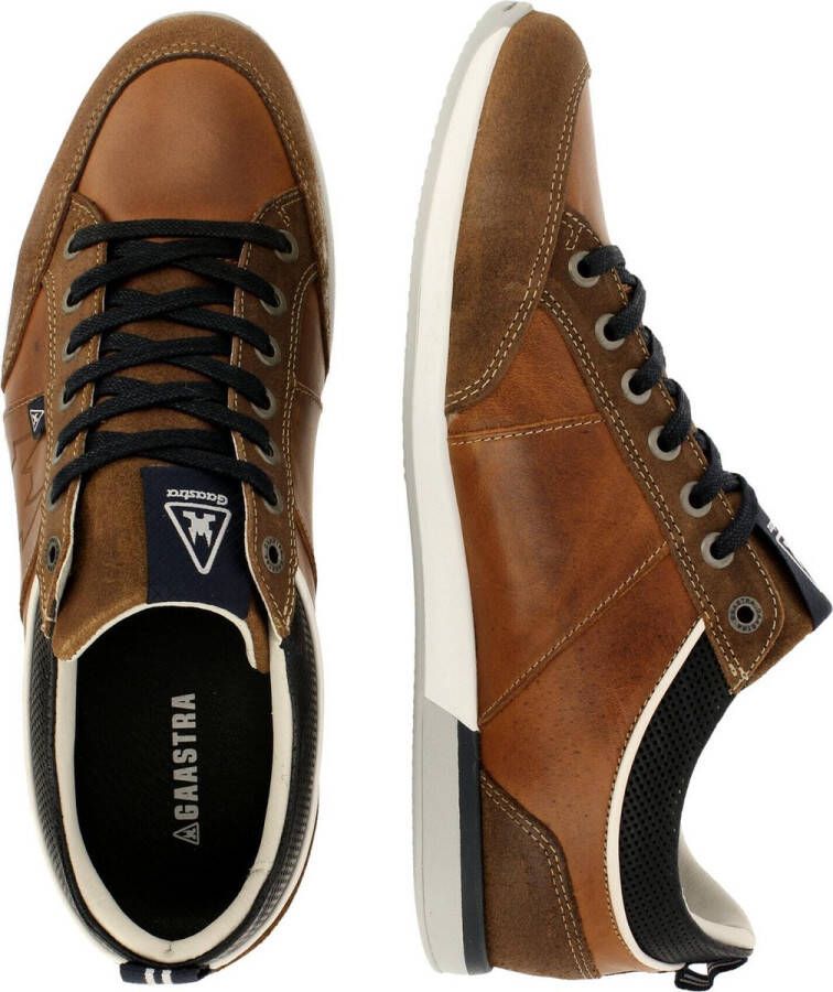 Gaastra Bayline sneakers cognac