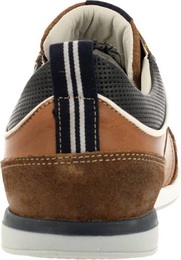 Gaastra Bayline sneakers cognac