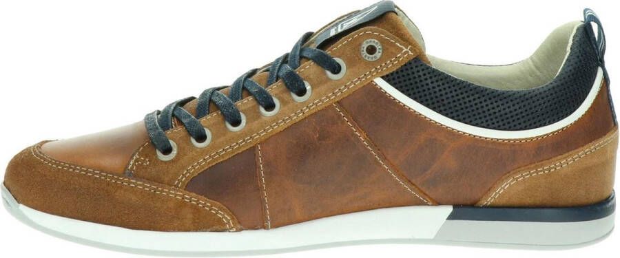 Gaastra Bayline sneakers cognac