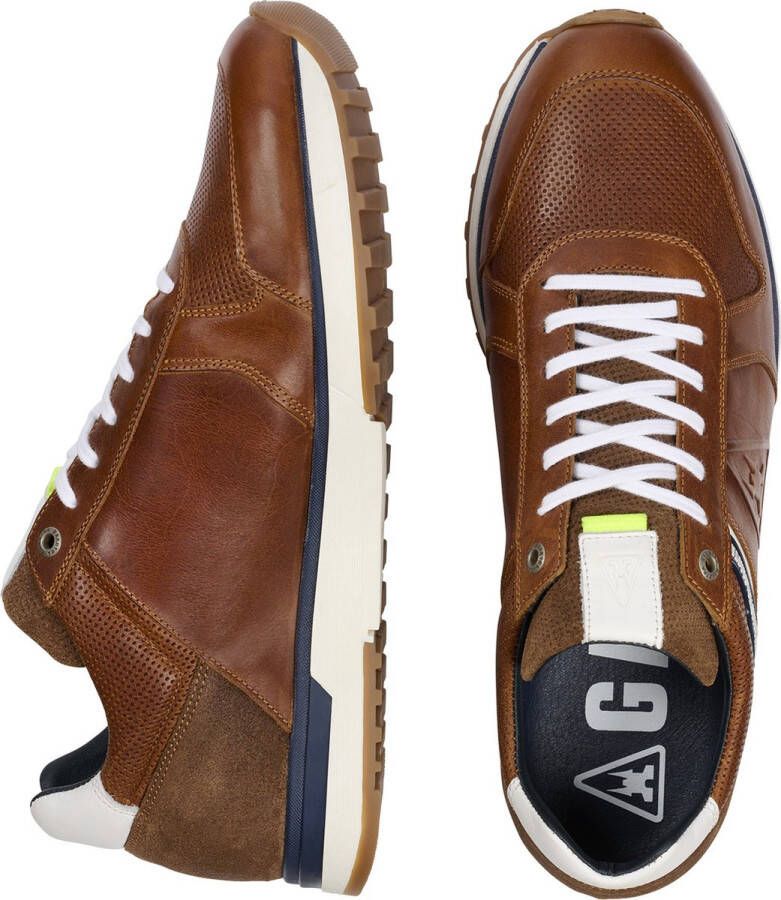 Gaastra Sneaker Male Cogna Sneakers