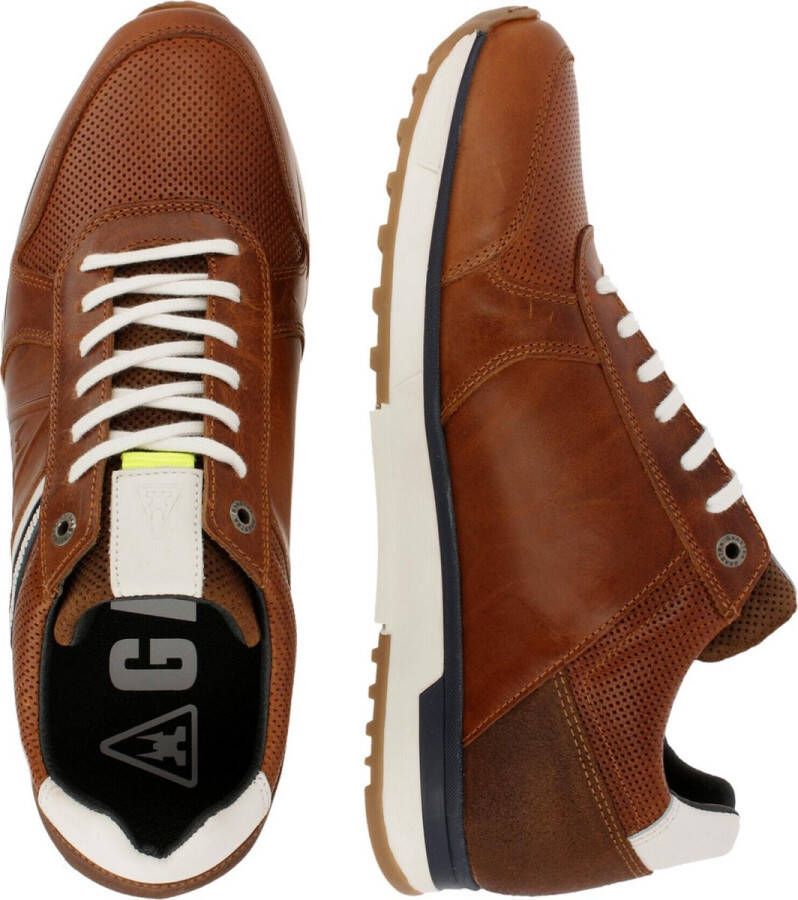 Gaastra Sneaker Male Cogna Sneakers