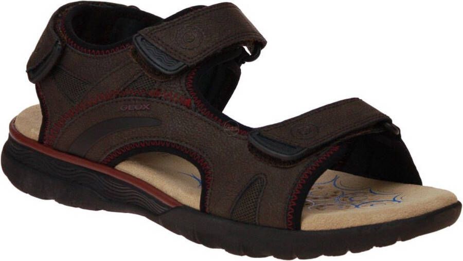 GEOX Spherica E A Sandalen Bruin Man