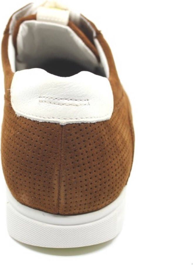 Gijs 2055 208 8977 Cognacbruin suède sneakers wijdte K