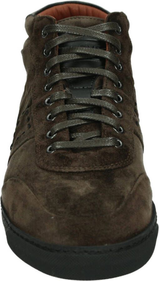 Greve Heren Hoge sneakers Umbria Bruin