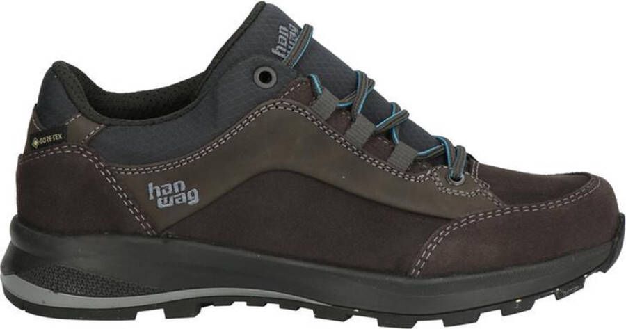 Hanwag Banks Low GTX dames wandelschoen Blauw