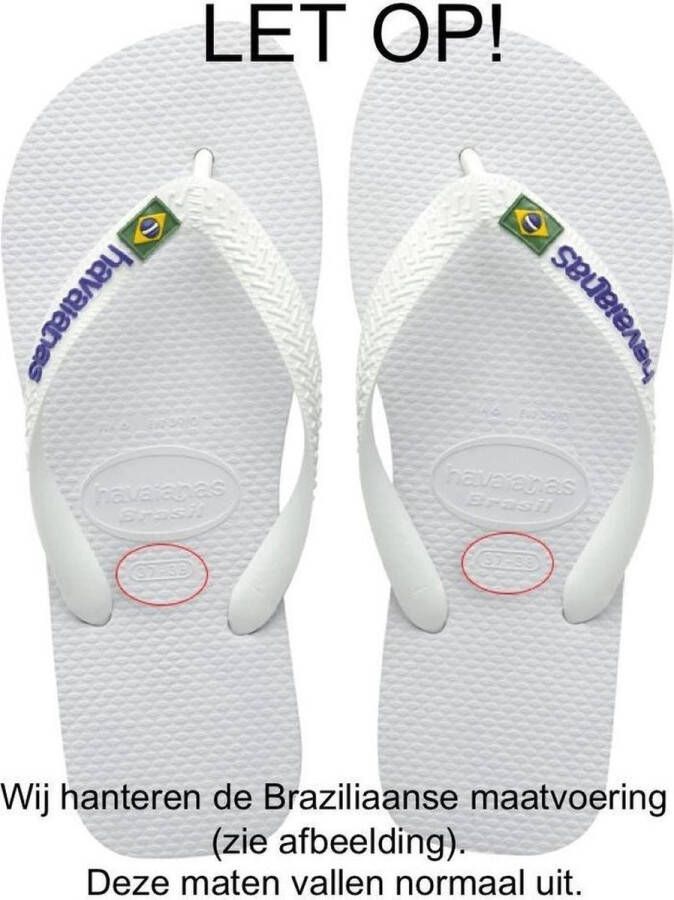 Havaianas Brasil Logo Unisex Slippers New Graphite