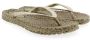 ILSE JACOBSEN Teenslippers Dames Cheerful01 Maat: 36 Materiaal: Rubber Kleur: Goud - Thumbnail 14