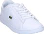 Lacoste Carnaby Evo Heren Schoenen White Leer Foot Locker - Thumbnail 10