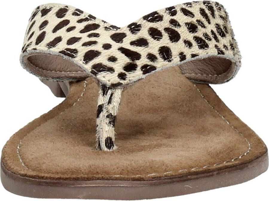 Lazamani Dames Slippers 75.481 Dalmatian