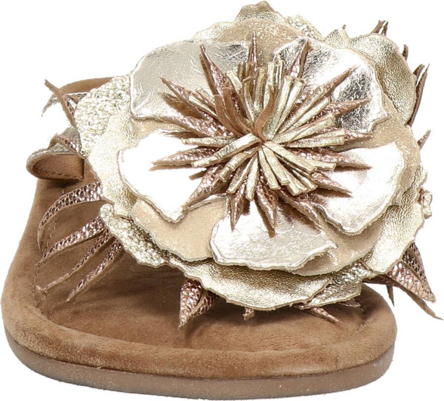 Lazamani Lily Leren Dames Slippers Gold - Foto 6