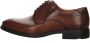 Lloyd Bruine Veterschoenen Kentucky Stijl Brown Heren - Thumbnail 5