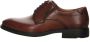 Lloyd Bruine Veterschoenen Kentucky Stijl Brown Heren - Thumbnail 11