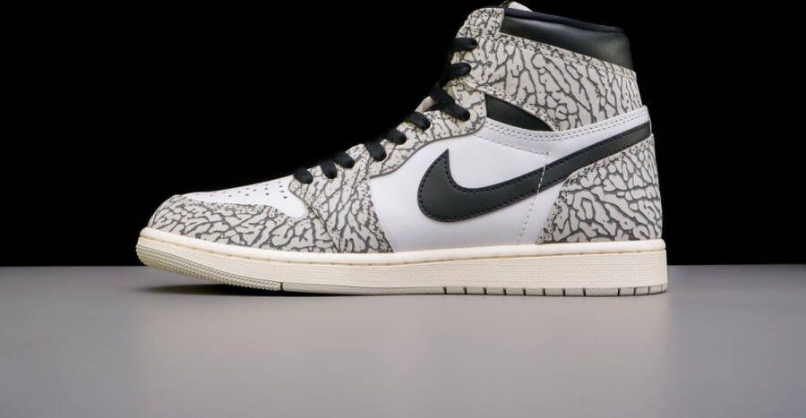 Nike Air Jordan 1 Retro High OG White Cement DZ5485-052 WIT Schoenen