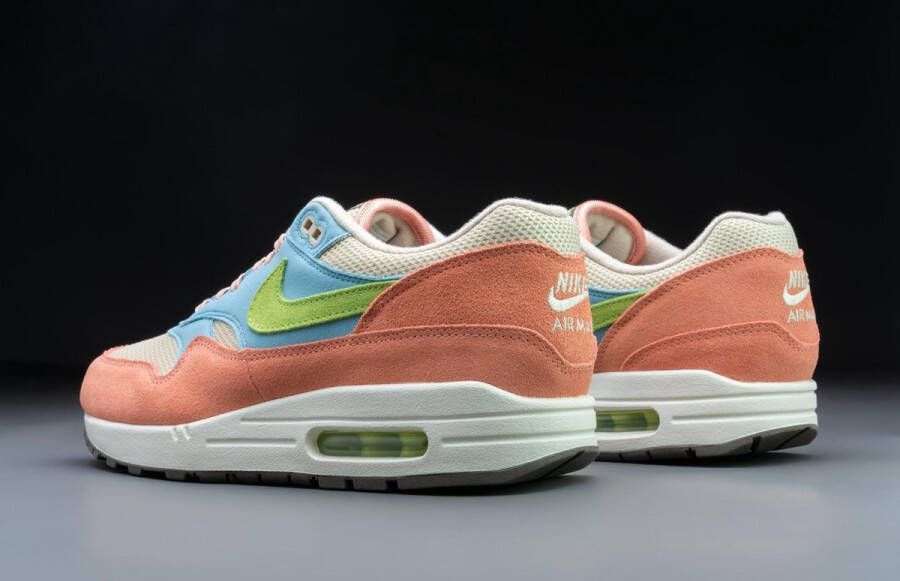 Nike Air Max 1 'Madder Root' Sneaker DV3196