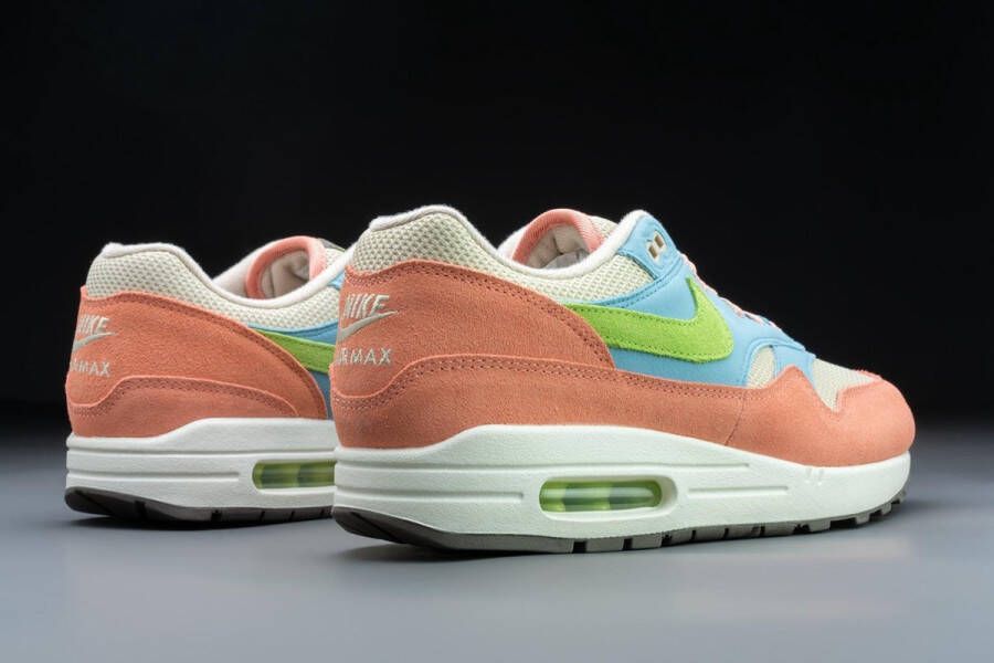 Nike Air Max 1 'Madder Root' Sneaker DV3196