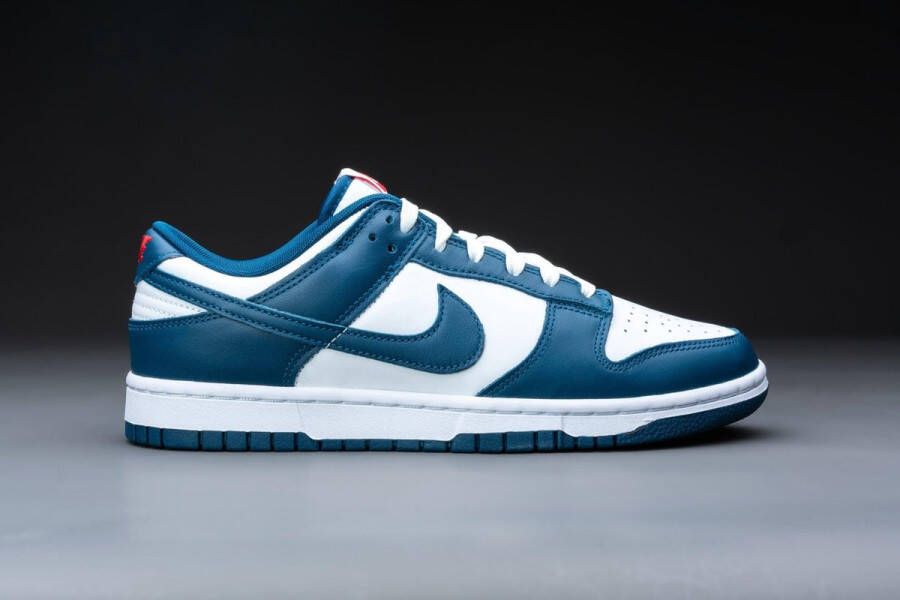 Nike Dunk Low Valerian Blue DD1391-400 BLAUW Schoenen