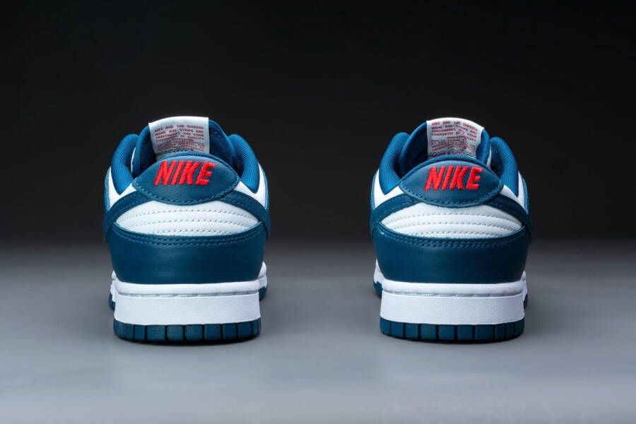 Nike Dunk Low Valerian Blue DD1391-400 BLAUW Schoenen