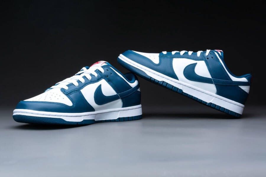 Nike Dunk Low Valerian Blue DD1391-400 BLAUW Schoenen